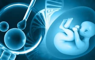 Έμβρυο εξωσωματικής γονιμοποίησης